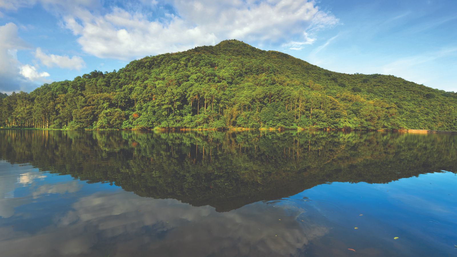 Ervaar de overvloedige natuur en de wilde dieren tijdens de wandeling van Lau Shui Heung naar Fung Yuen.