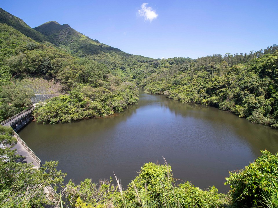 鶴藪水塘ファミリーウォーク(Hok Tau Reservoir Family Walk)