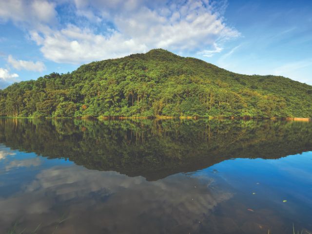 Ervaar de overvloedige natuur en de wilde dieren tijdens de wandeling van Lau Shui Heung naar Fung Yuen.