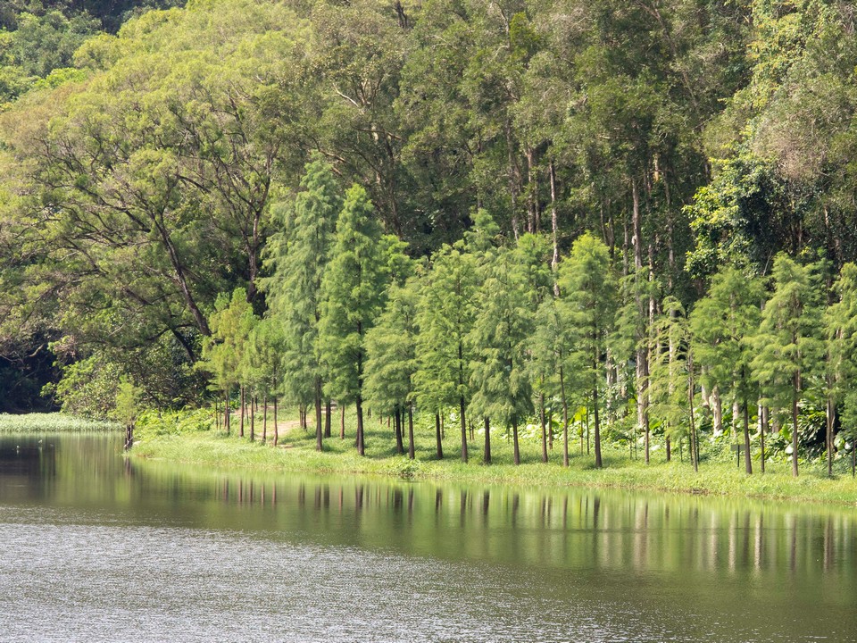 Lau Shui Heung Country Trail