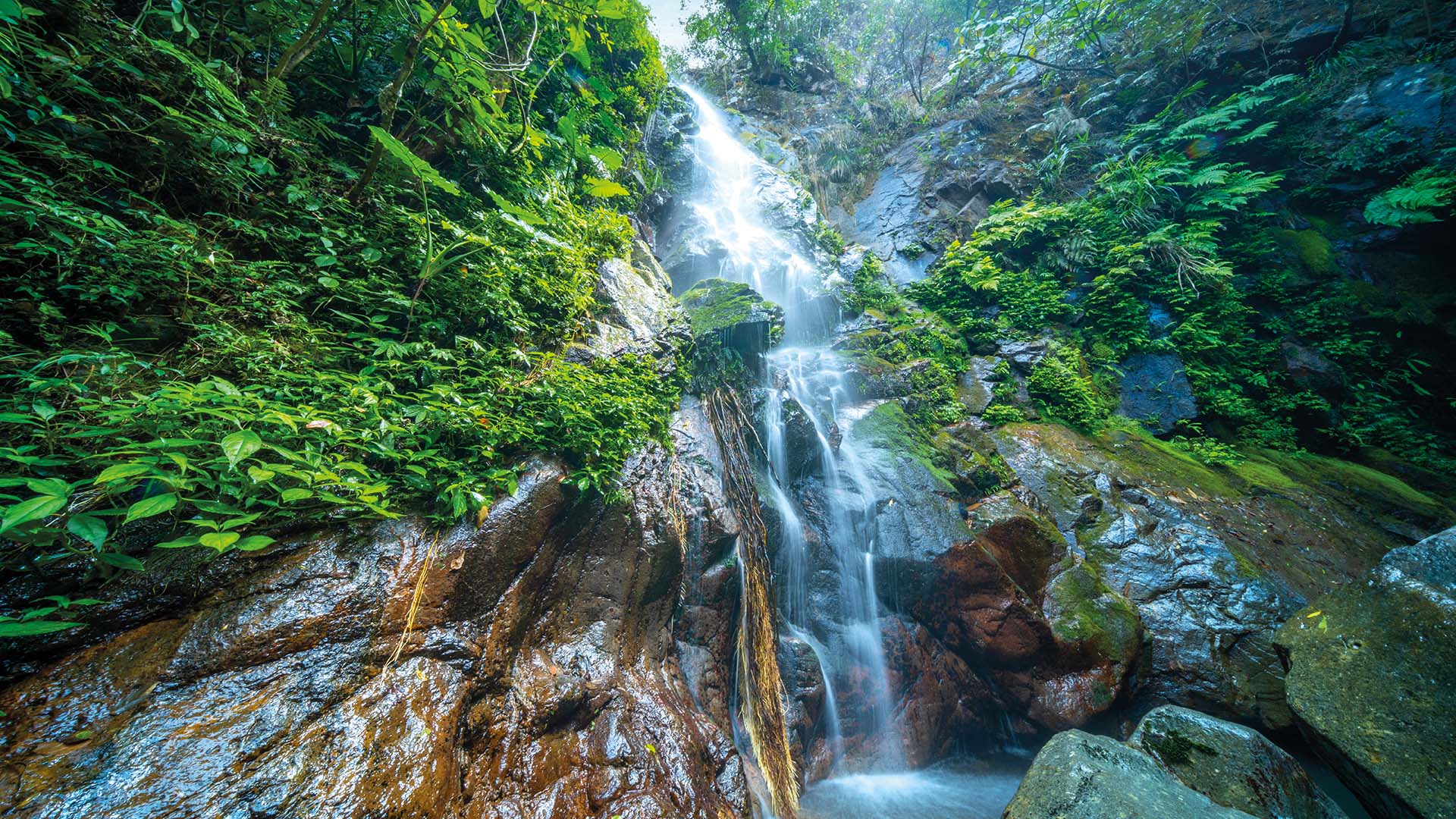 Wellness in Hong Kong