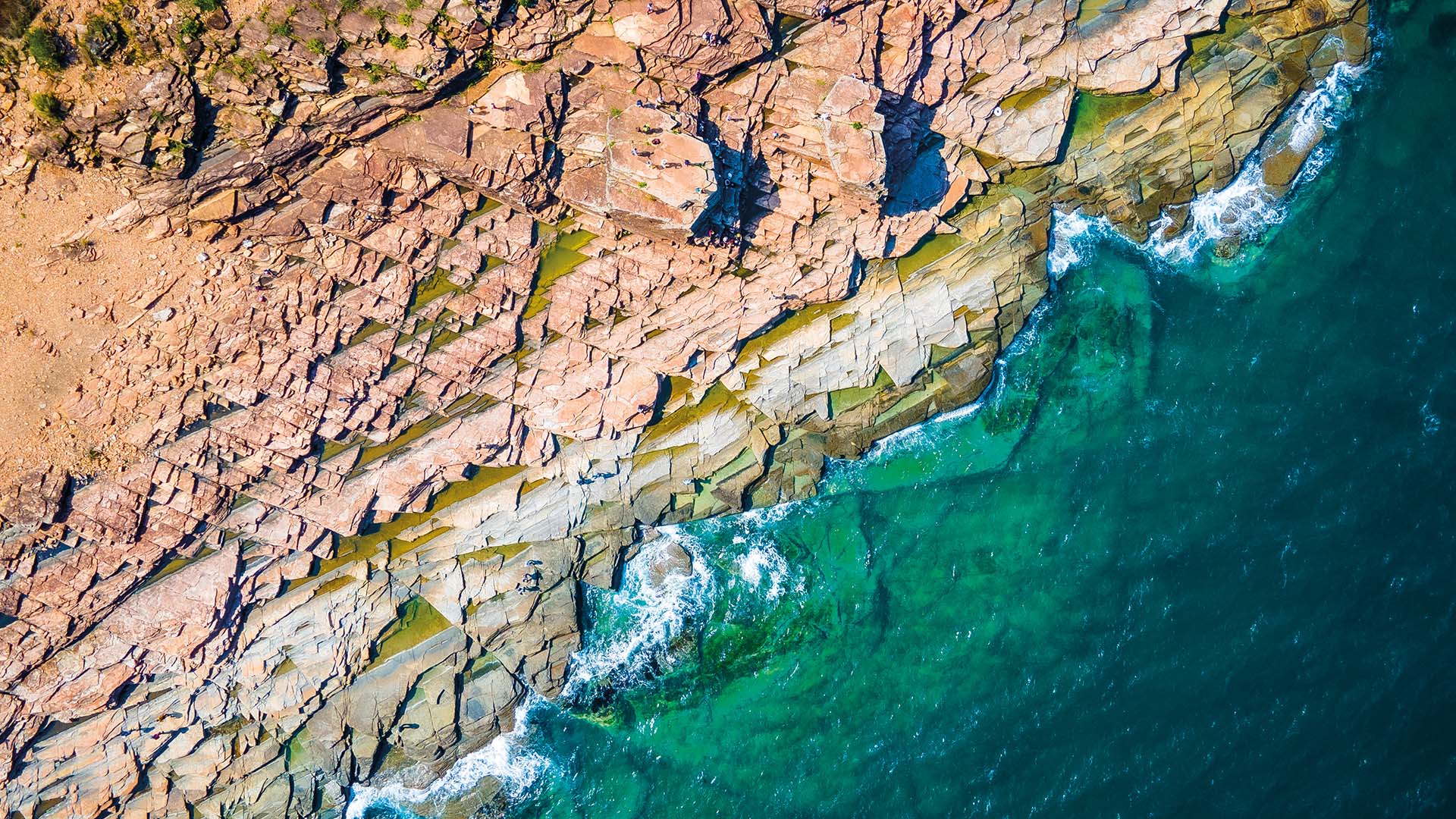 Wellness in Hong Kong