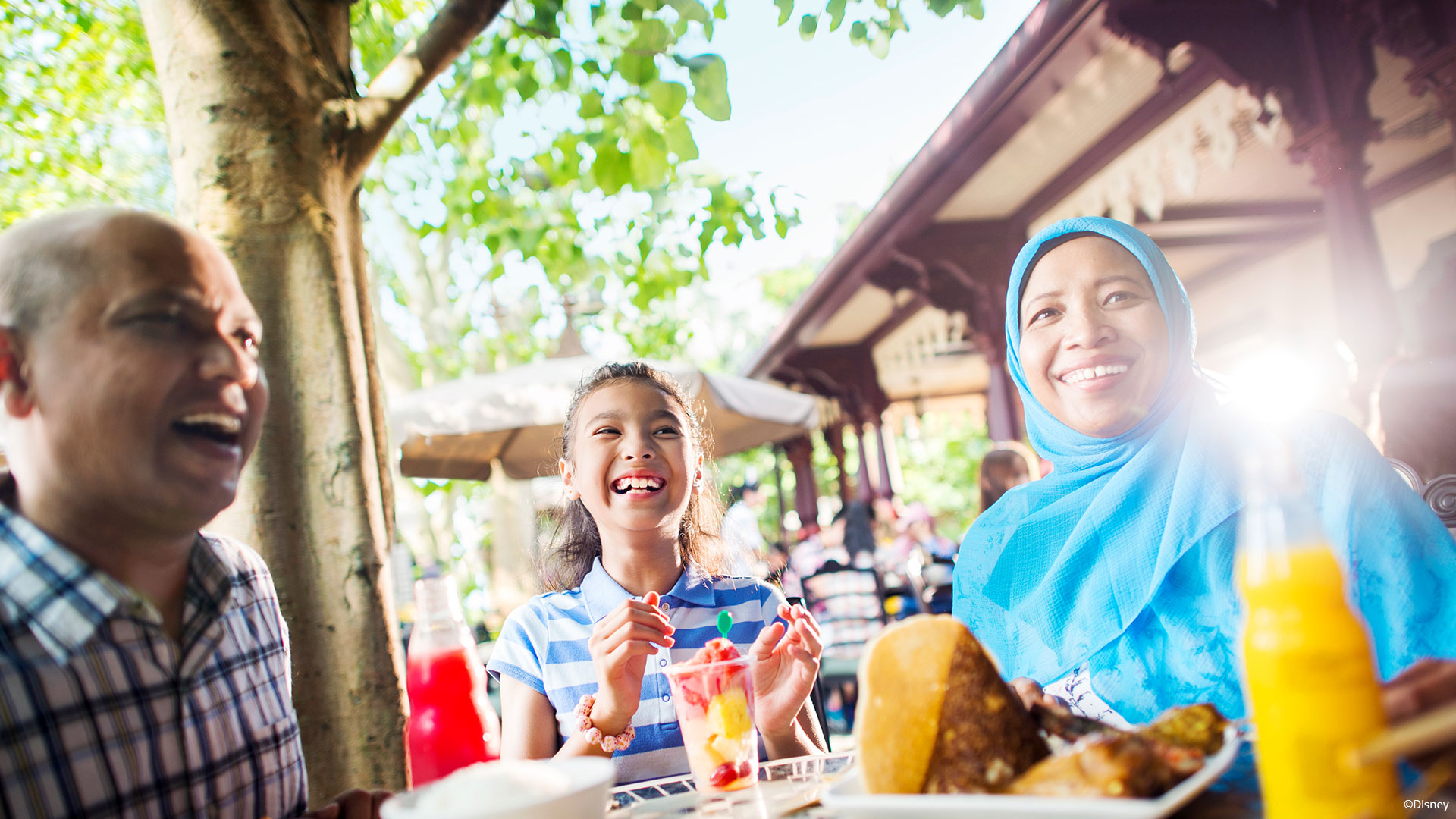 Disneyland in the world with Halal-certified food