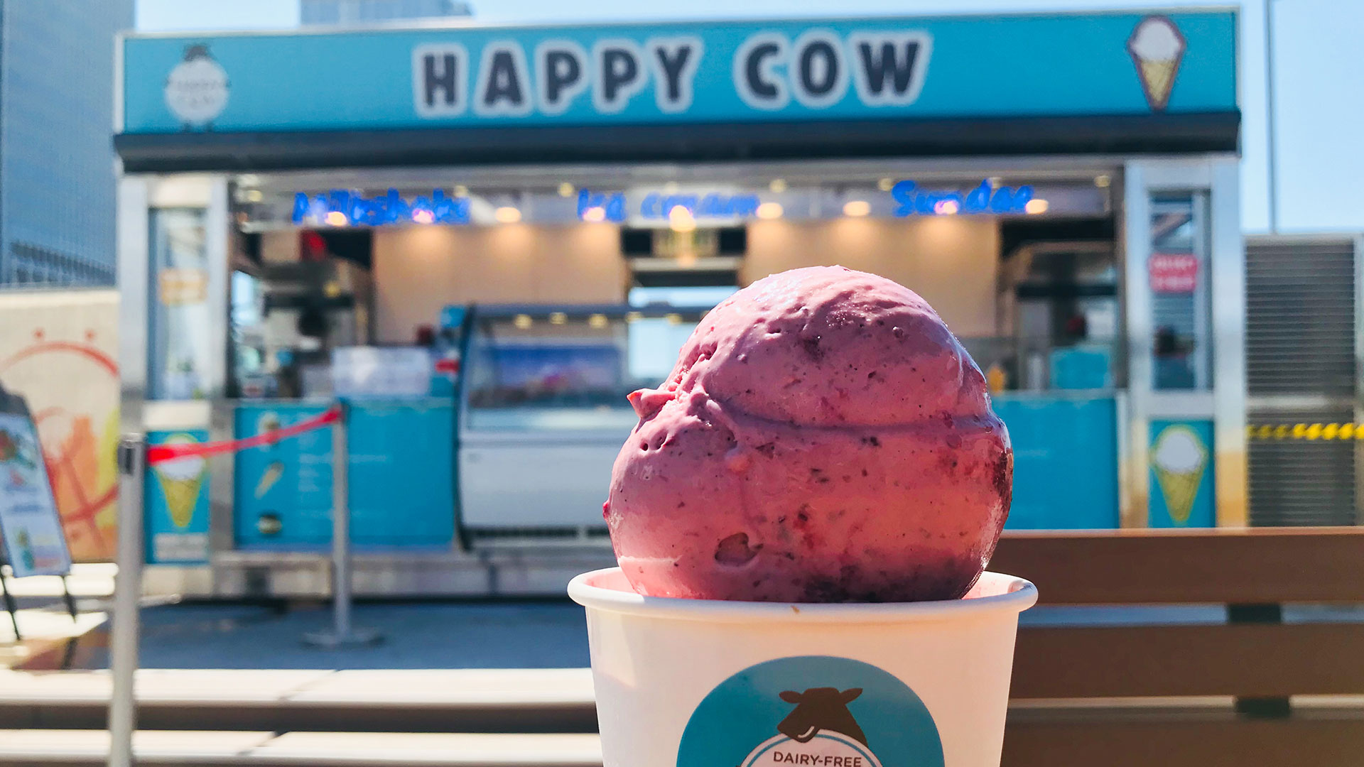 Happy Cow