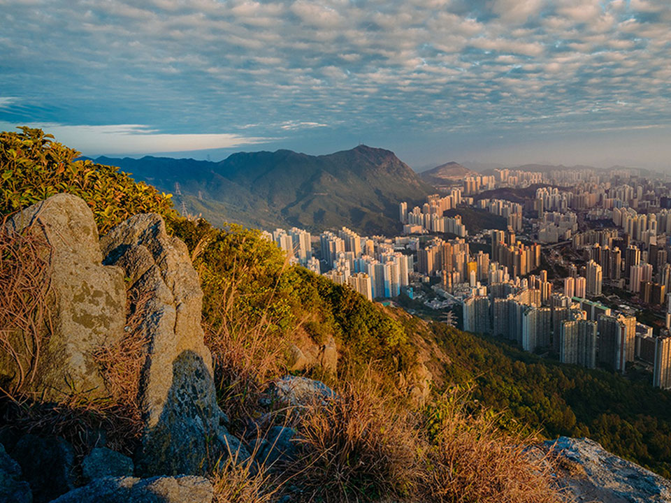 Lion Rock View