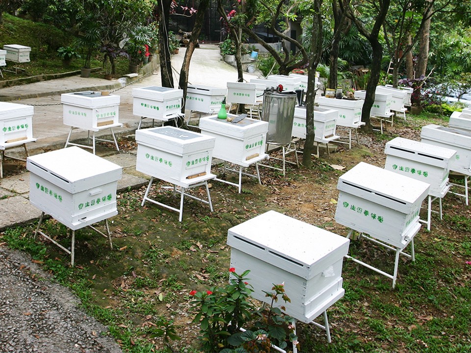Po Sang Yuen Bee Farm
