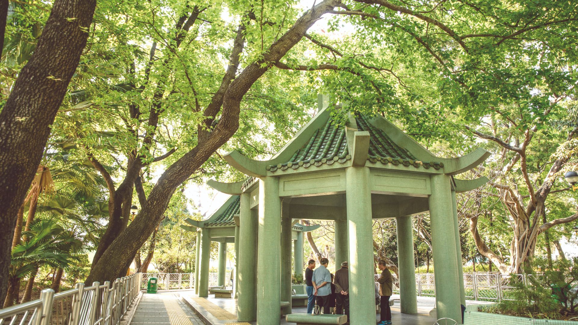 متنزه شام شوي بو