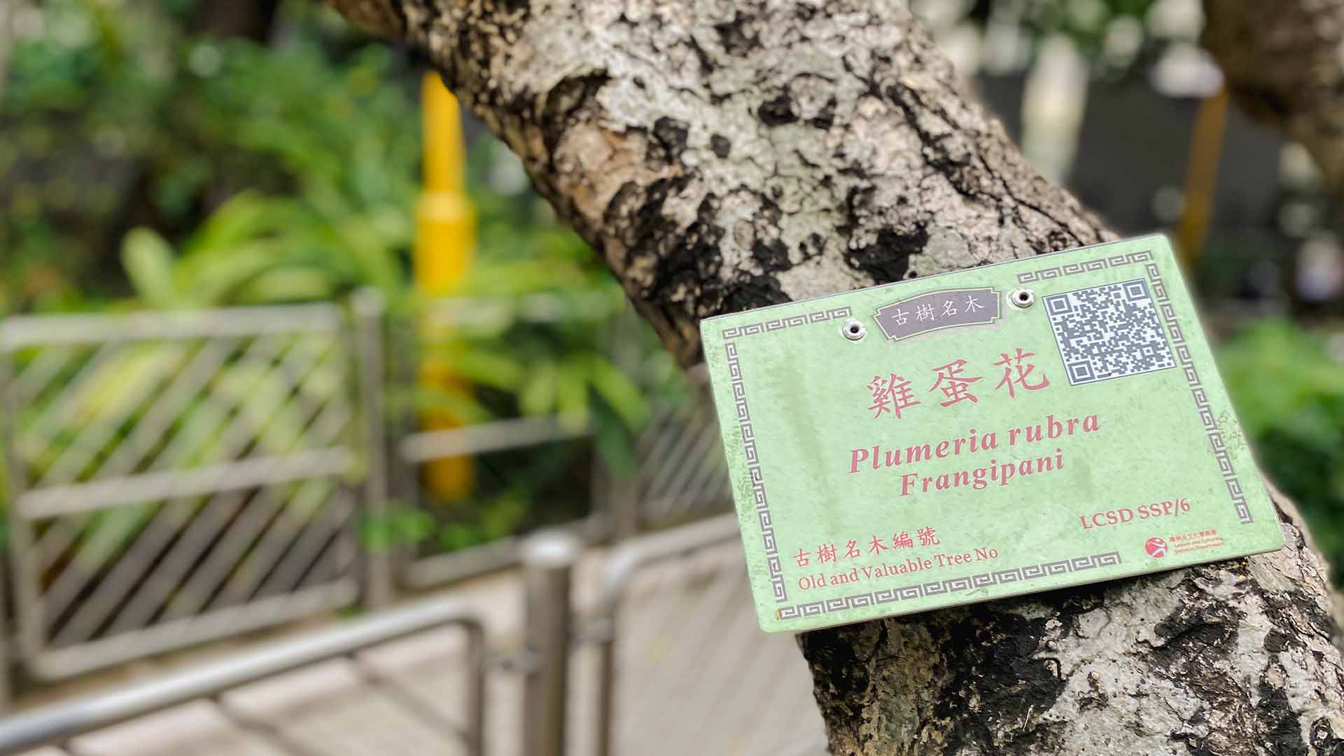 Sham Shui Po Park