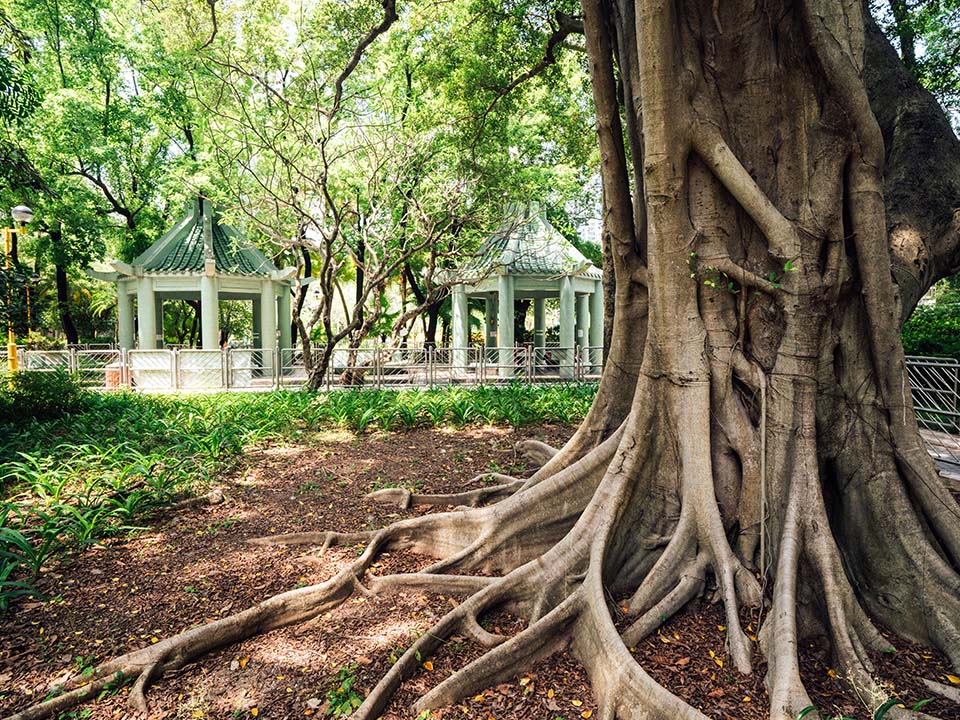 深水埗公園