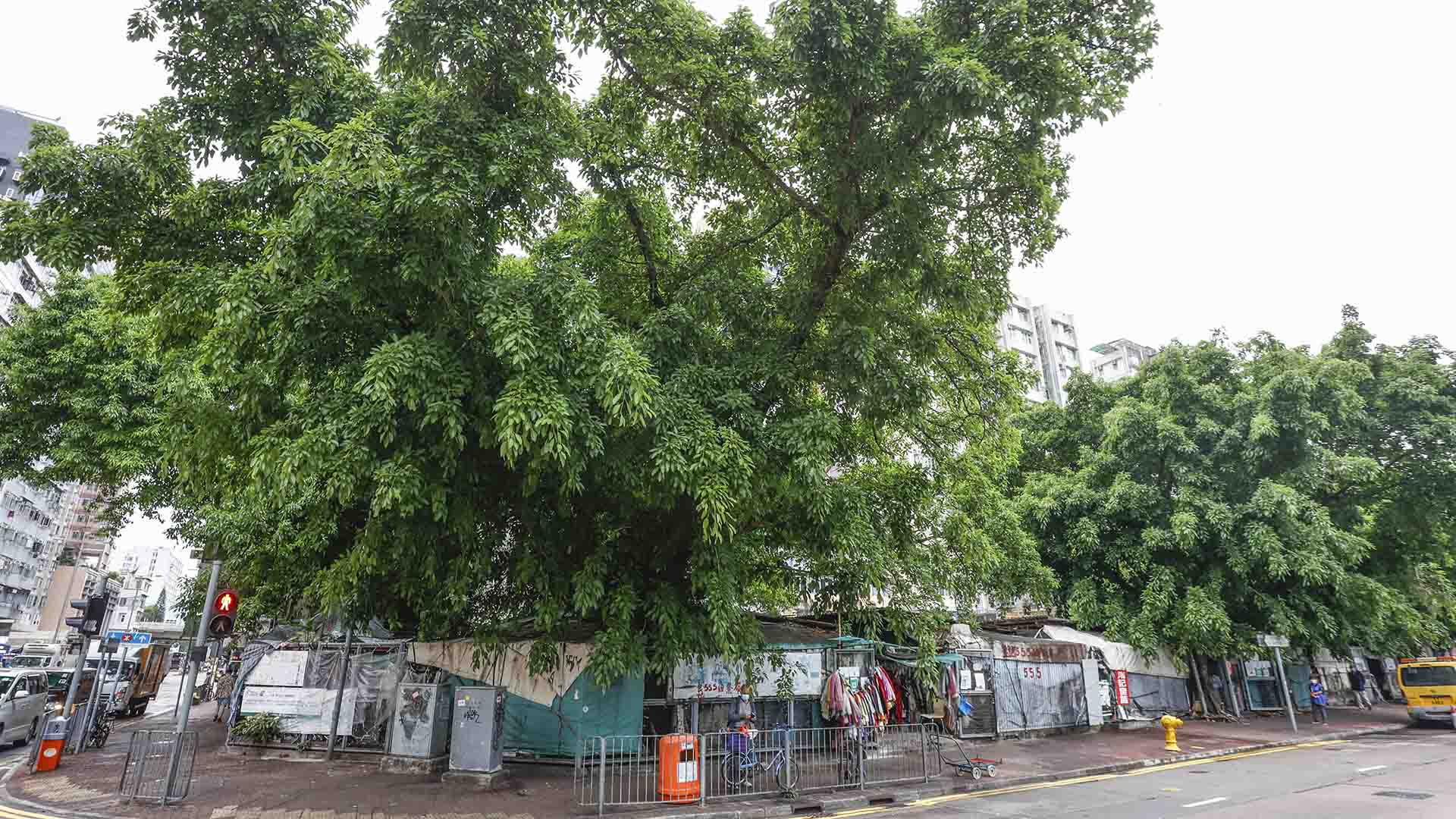 欽州街臨時小販市場