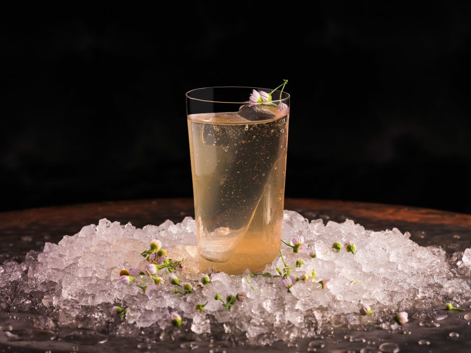 Ingrédients et infusions faits maison dans chaque boisson