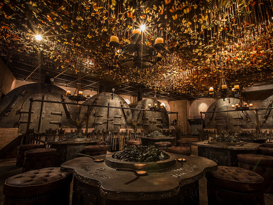 Enter the enchanting world of The Iron Fairies