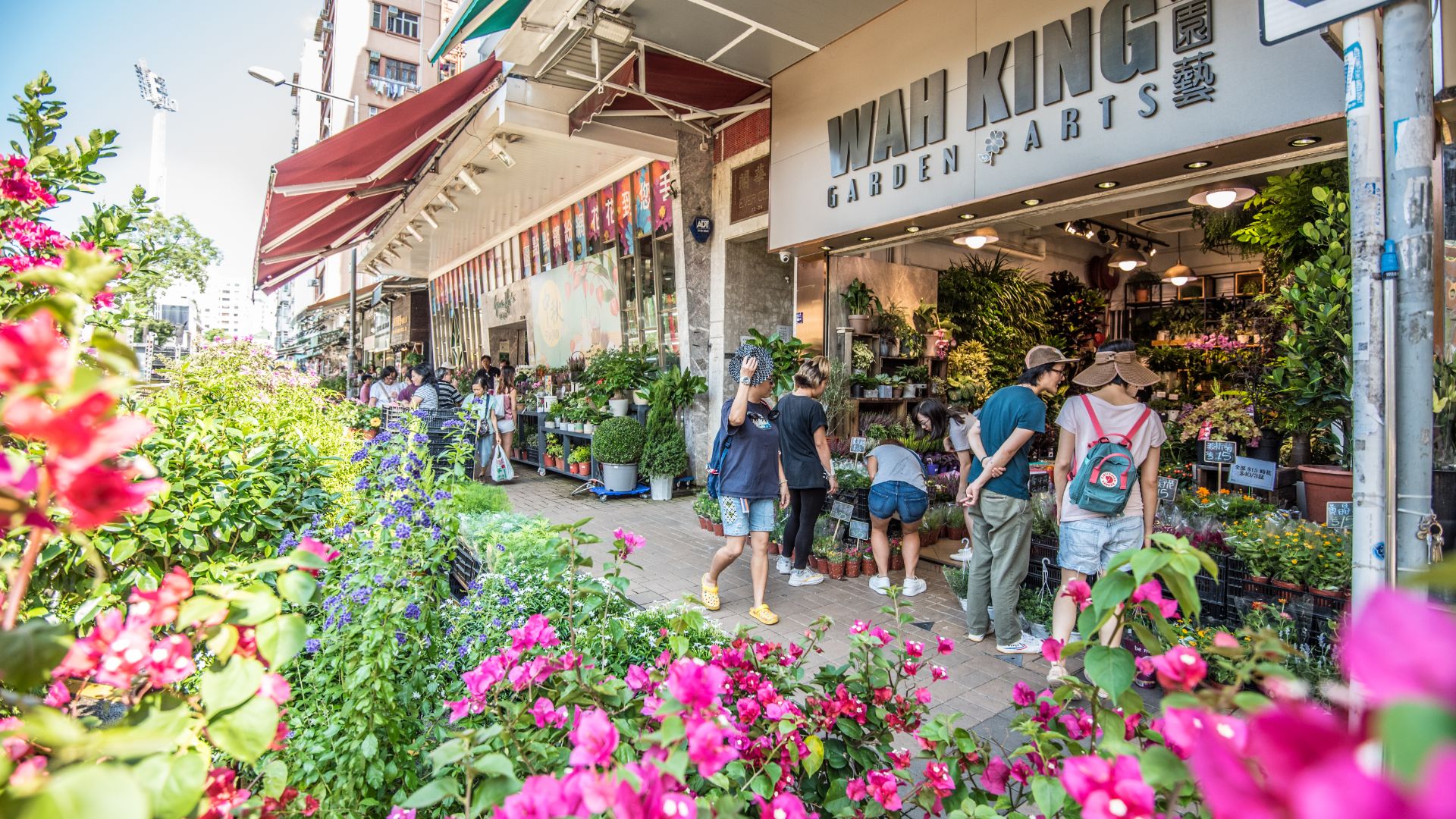 shopping tourist street