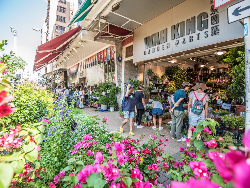 Das finden Sie in Hongkongs einmaligen Einkaufstraßen