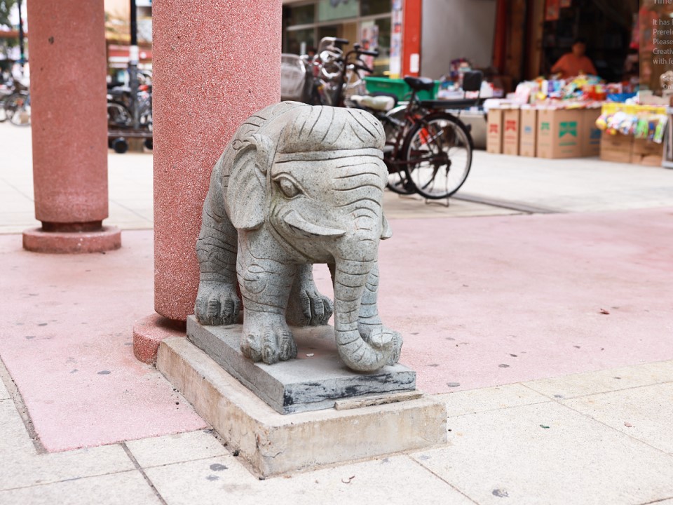 Auspicious Elephants