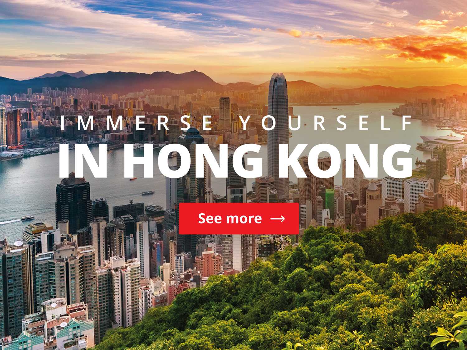 hong kong tourism board new york