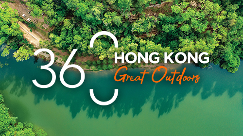 Things you can't miss