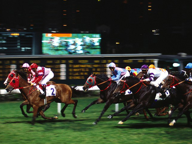 Come Horseracing Tour - Gray Line Tours of HK Ltd