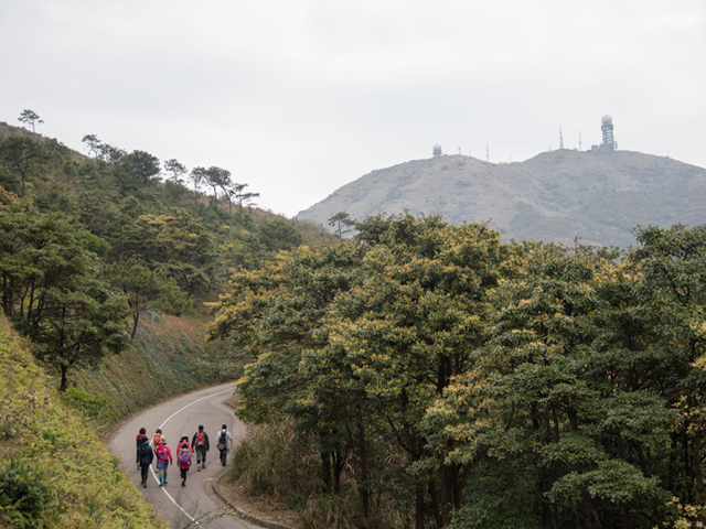 大帽山日出之旅