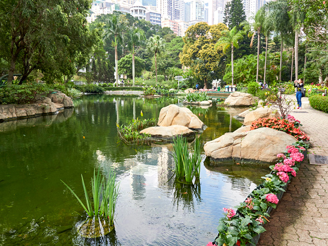 Nature in the City: Explore Hong Kong Park