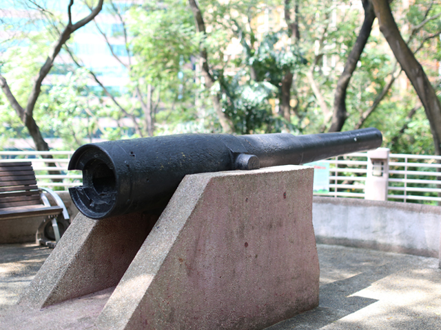 Nature in the City: Kowloon Park with Eco Experts