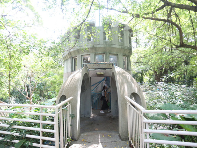 城市綠洲：九龍公園自然生態之旅