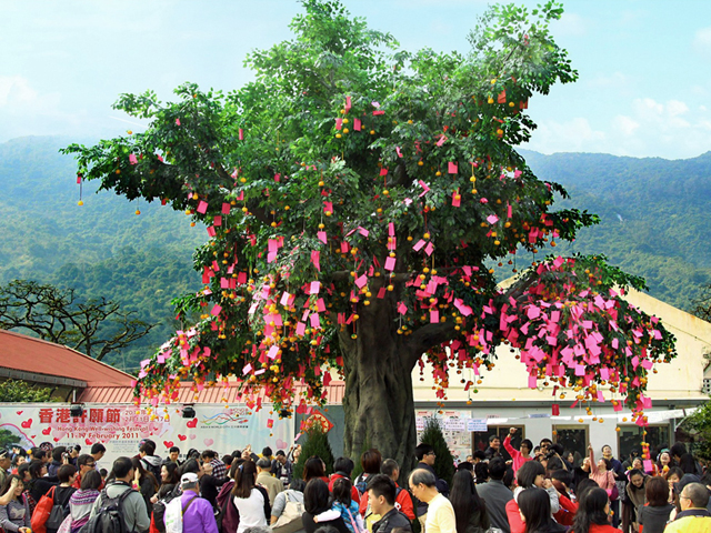 New Territories Cultural Tour