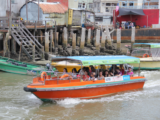 Tai O Eco Tour