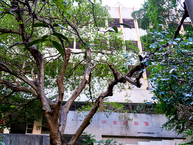 What Do Ghosts Eat? Wan Chai Ghosts & Food Tour