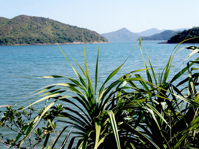 Plover Cove Country Park Hike