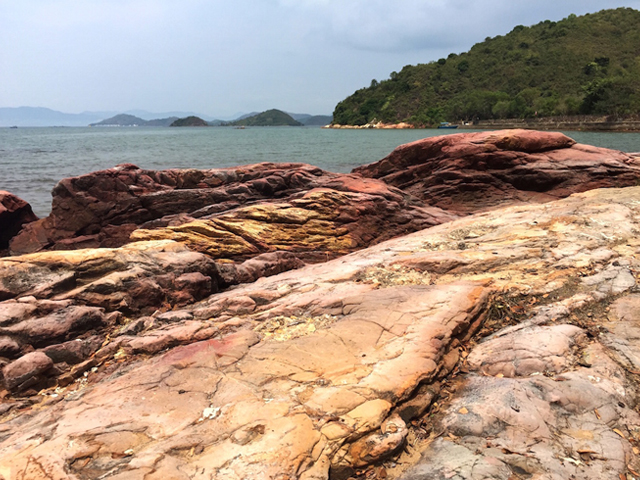 Plover Cove Country Park Hike