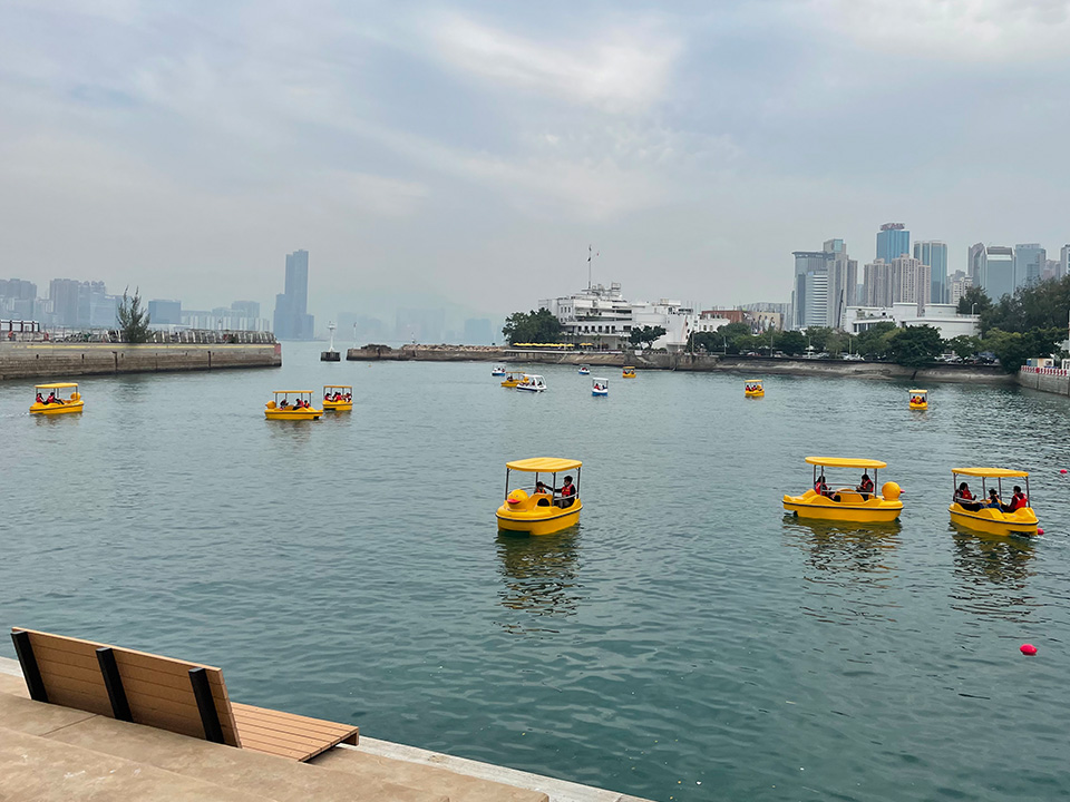 Harbour Pedal Boats