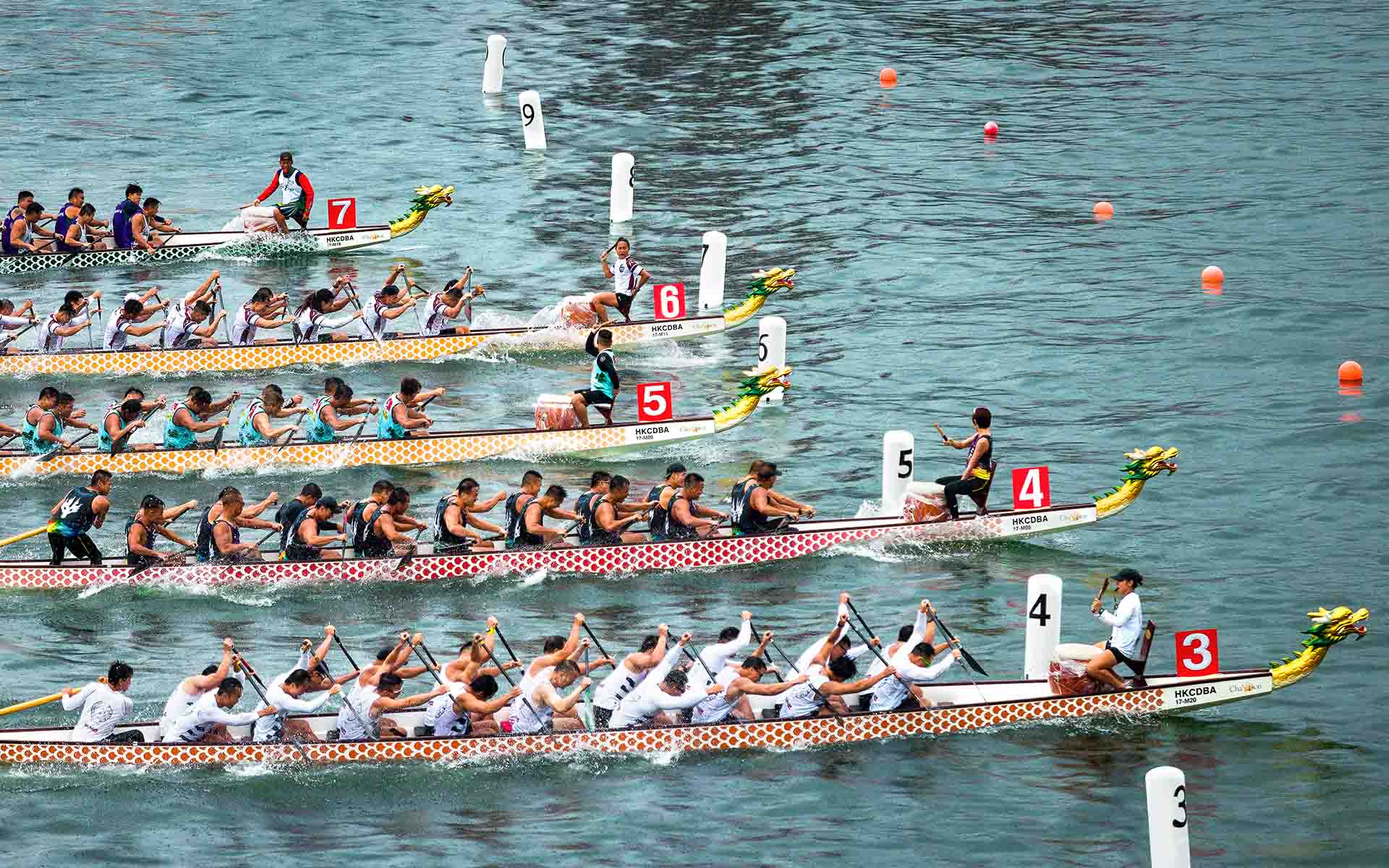 Races - Dragon Boat Race