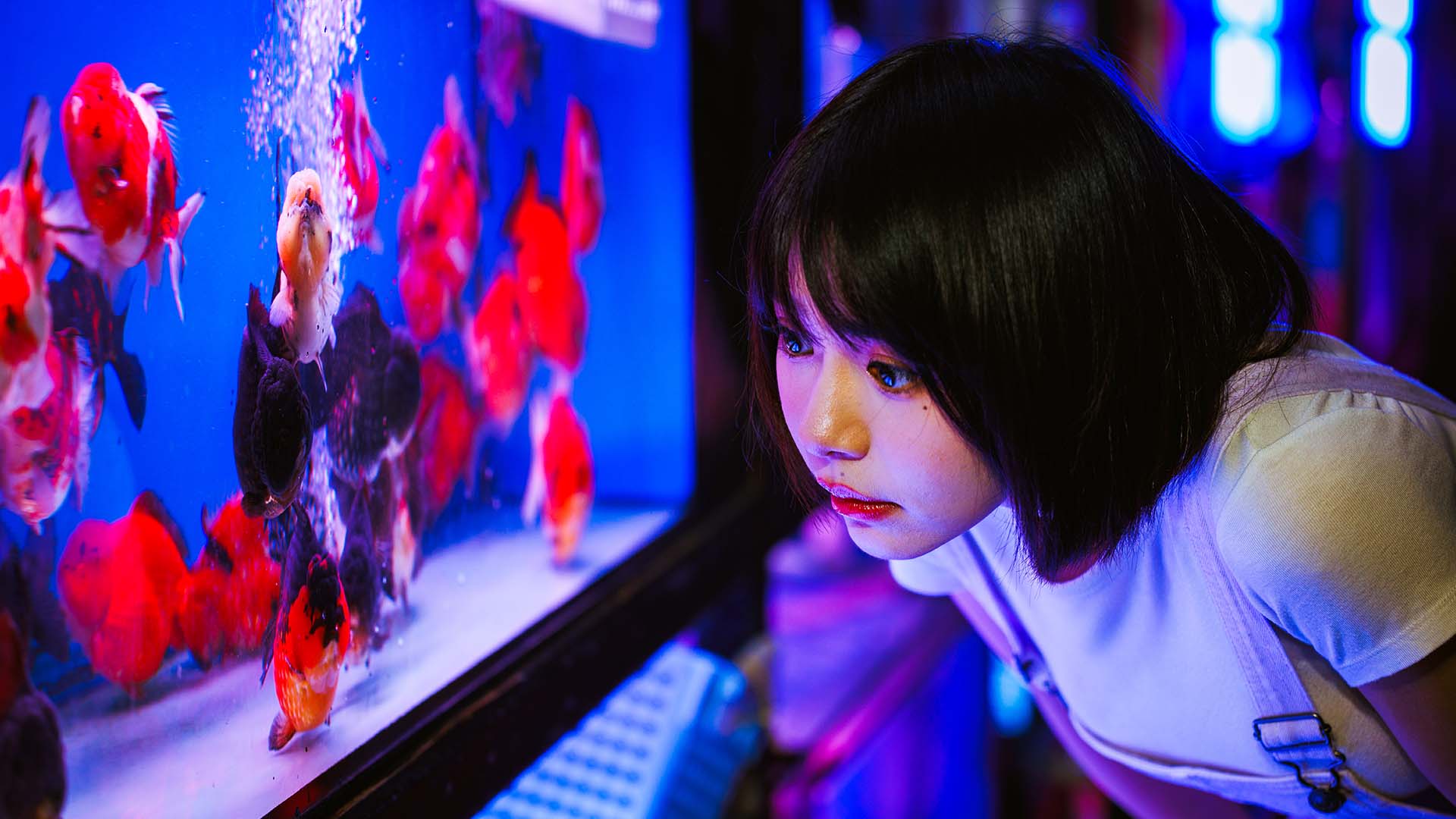 Lin Min-chen at Goldfish Street