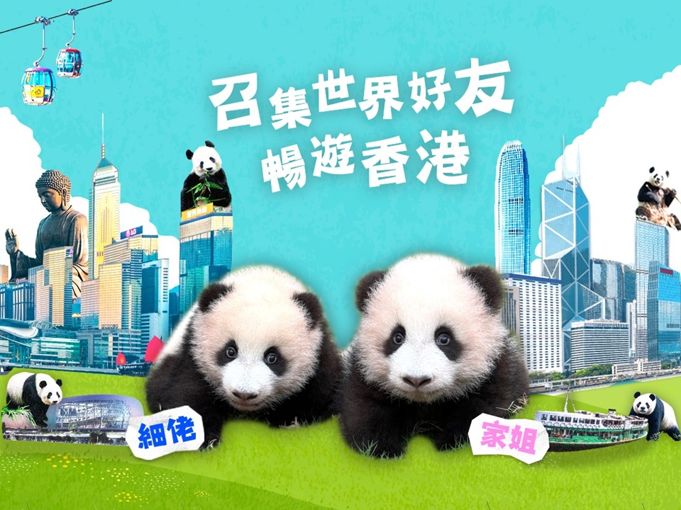 ⼤熊貓龍鳳胎寶寶名字即將揭曉 密切期待！