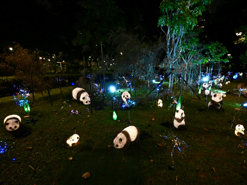 Giant Panda lantern decoration