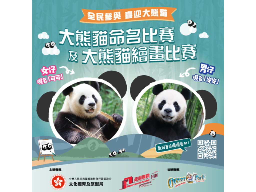 Giant Panda Naming Competition & Giant Panda Painting Competition