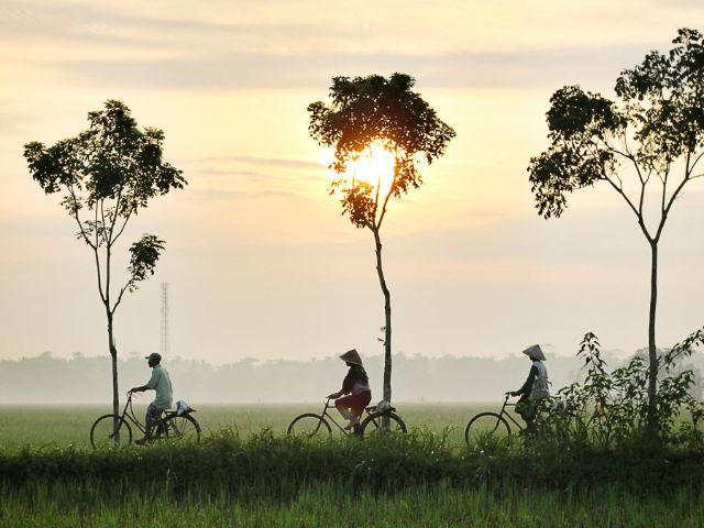 Cycling at dawn