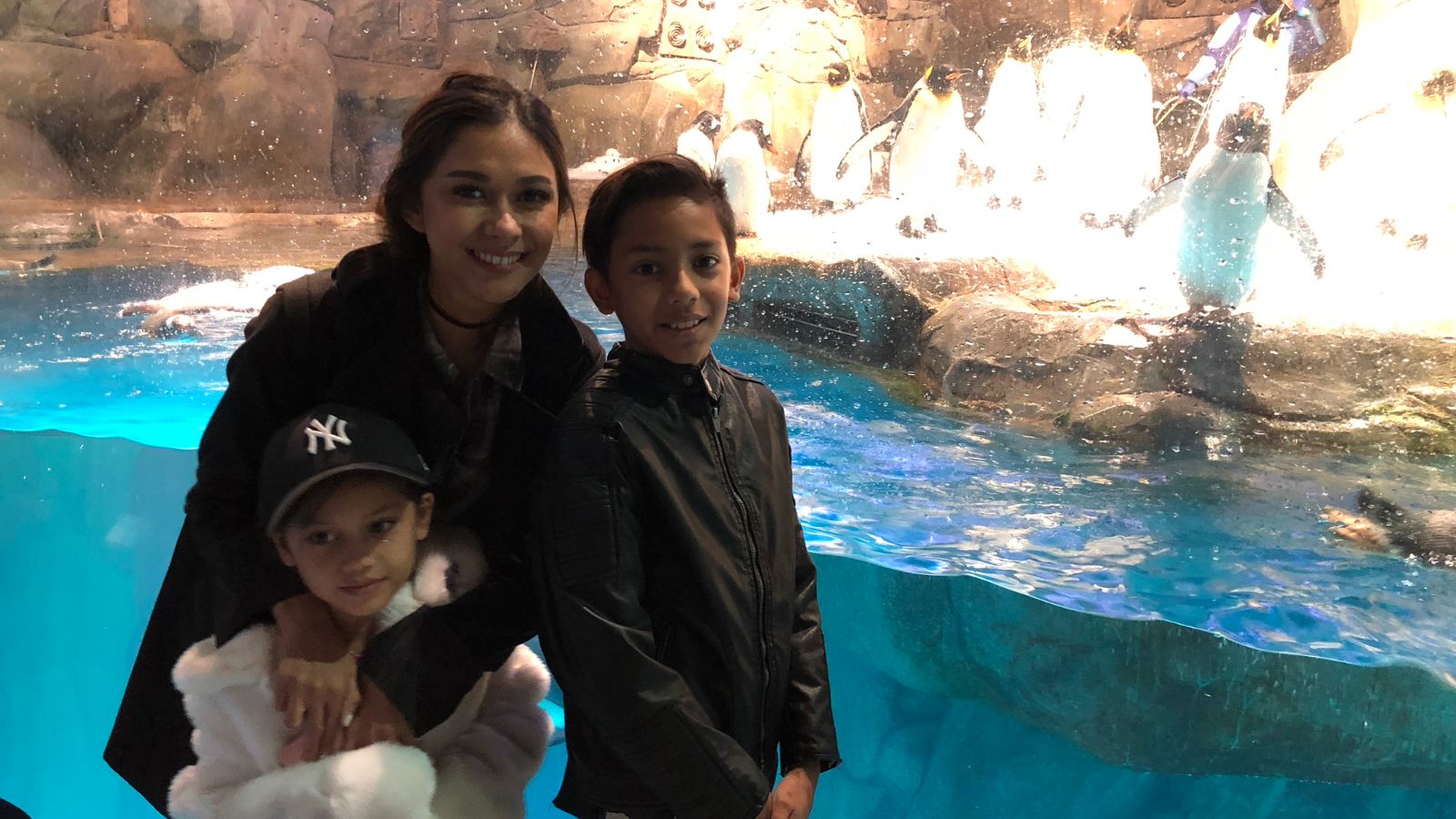 Jelajahi pengalaman keluarga yang menakjubkan di Ocean Park