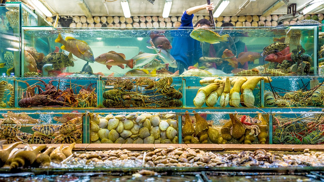 Sai Kung seafood Hong Kong Tourism Board