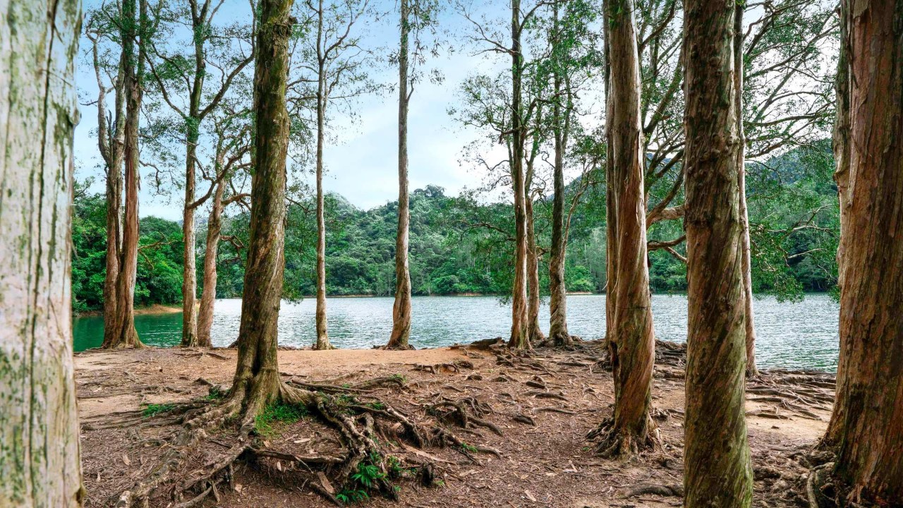 荃湾（Tsuen Wan） Hong Kong Tourism Board