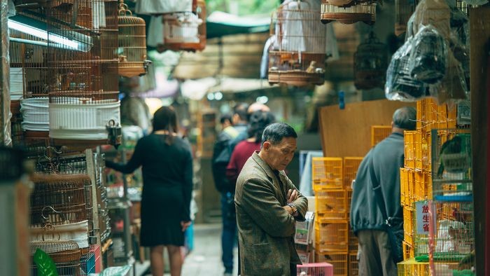 The markets selling different bird-related products